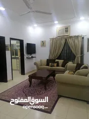  6 Flat For Rent Full Furniture in gudaibiya and Sehla Daily and Monthly Tell: