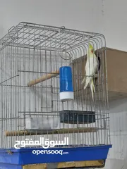  3 جوز كوكتيل بالصلاة على النبي انتاجه قريب