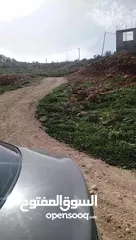  2 منطة تل الهوا فوق المساكن الشعبيه