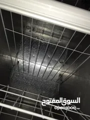  5 مجمدة  KELON freezer