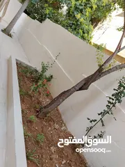  11 شقه للايجار