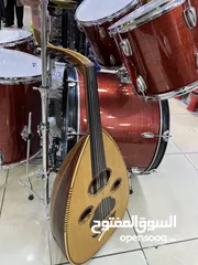  5 عود عراقي احترافي