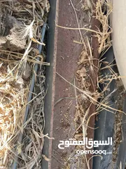  1 اجسوره جيدا 4اجسوره  طول الجسر 3 متر