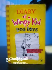  2 The Diary Of a Wimpy Kid Books