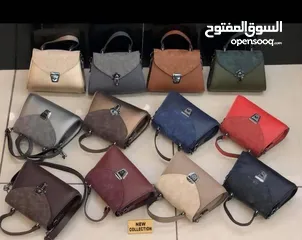  16 شروة شناتي