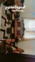  1 غرفه نوم مستعمل بحاله جيده كبيره مع عفش