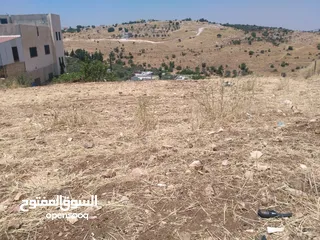  12 ارض للبيع في عجلون (صخرة)