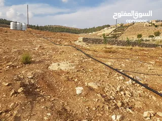  6 قطعة أرض مميزة زراعي او استثماري تصلح شاليه او مزرعة للبيع 10 دونم