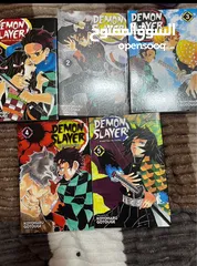 1 Anime Manga Books