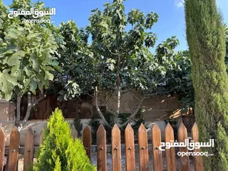  22 مزرعة وشاليه جنة النعيم بطريق المطار للايجار اليومي باسعار حرق و نظافة عاليه و مساحات كبيرة مع خدمات