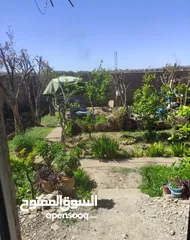 9 منزل للبيع في اولا يحيى الفقيه بن صالح