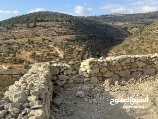  23 عجول قطعة ارض مساحتها 811 متر كوشان طابو مستقل سلطة أ تنازل فوري