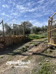  10 ارض مميزة تصلح لمزرعة او شاليه مقابل مطعم بيت شاكر والاسطبلات الملكية