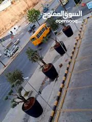  11 قواوير فايبر جلاس بشكل عصري أنيق #قواوير فايبر جلاس  #نباتات زينة ومثمر داخلي وخارجي  #إشراف مهندسين