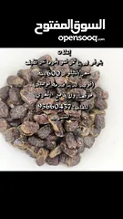  2 تمور للبيع