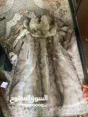  4 جاكيت دب اصلي