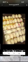  2 حلويات العيد