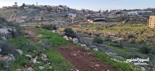  24 800متر طابوا فلسطيني في اجمل موقع بالكفريات واطلالة مميزةمنطقة( b)صالحة للبناء