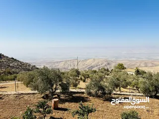  9 مزرعة مطله على الأغوار وجبال فلسطين