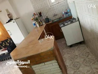  3 ايجار شقه ف النخيل الاسكندريه