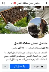  20 موسم 2025 سعر خاص للتجار و للكميات من عسل وشمع علب وبراويز كامله من مناحل عسل مملكة النحل