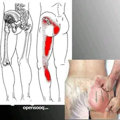  14 مدرب لياقه بدنيه وبناء أجسام ومدرب سباحه