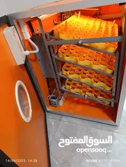  5 فقاسة بيض pto c3