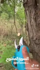  5 مقص تقليم الاشجار شحن