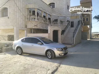  2 علي ابو بكر