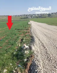  4 مادبا ماعين غرابيات ام راسين قطعة ارض زراعية بمنطقة هادئة و مميزة بمساحة 5300 م واصل الخدمات
