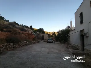  18 بيت ريفي للبيع في جرش - ثغرة عصفور