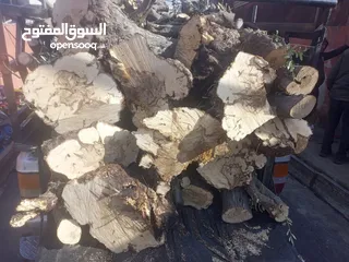  17 حطب زيتون زند وقرمي ناشف حطب لوزيات ناشف