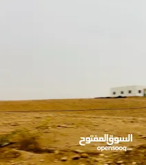  7 ارض مساحة 1600 متر مربع للبيع تصنيف أ في بلدة العوجا الهادئة الجميلة