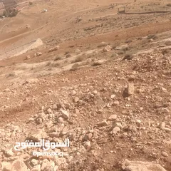  7 قطعة ارض شرق جرش مرويه من بئر ارتوازي مطله ومرتفعه بسعر مغري متوفر أكثر من 50 قطعه في نفس المنطقه
