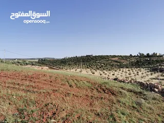  7 قطعة أرض مميزة للبيع في السلط الصبيحي قصيب مرتفعة ومطلة بسعر مغري