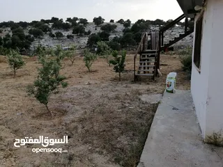 12 مزرعة في اربد كفر اسد للبيع