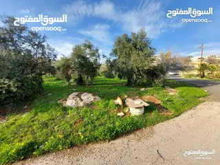  7 قطعة ارض في بلال حوض زبدا 900م على ثلاثة شوارع بسعر مغري اعلان رقم 643