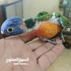 1 ماشاء الله لا قوة إلا بالله
