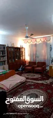  23 بيت في كربلاء حي القادسية للبيع