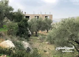  3 بناء قائم على قطعه ارض مساحة 800 متر