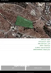  13 مزرعة 30 دونم مع فيلا 225 متر مربع في بدر الجديدة من المالك مباشرة بسعر مغري جدًا