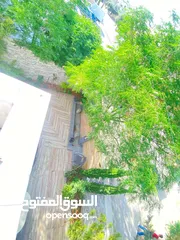  19 منزل مستقل للبيع في جبل الزهور