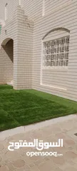  5 Beautiful big size grass carpet for sale