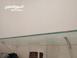  1 رفوف سيكوريت