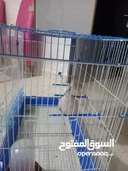  5 مطير كبير+حمام يمام  مع 8 معالف يصلح للعصافير واليمام وجميع طيور الزينه القفص بحاله ممتازه للبيع