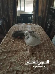  11 عفش بيت بداعي السفر