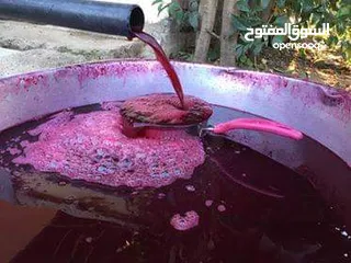  14 شروة دبس رمان بلدي للبيع