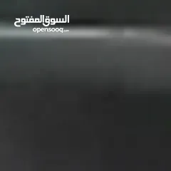  4 تيس ما عليه كلام ما شاء الله