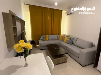  1 شقة مفروشة للايجار في عمان الاردن غرفة وصالة  - خلف الجامعة الأردنية من المالك