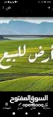  1 أراضي للبيع في جفنا